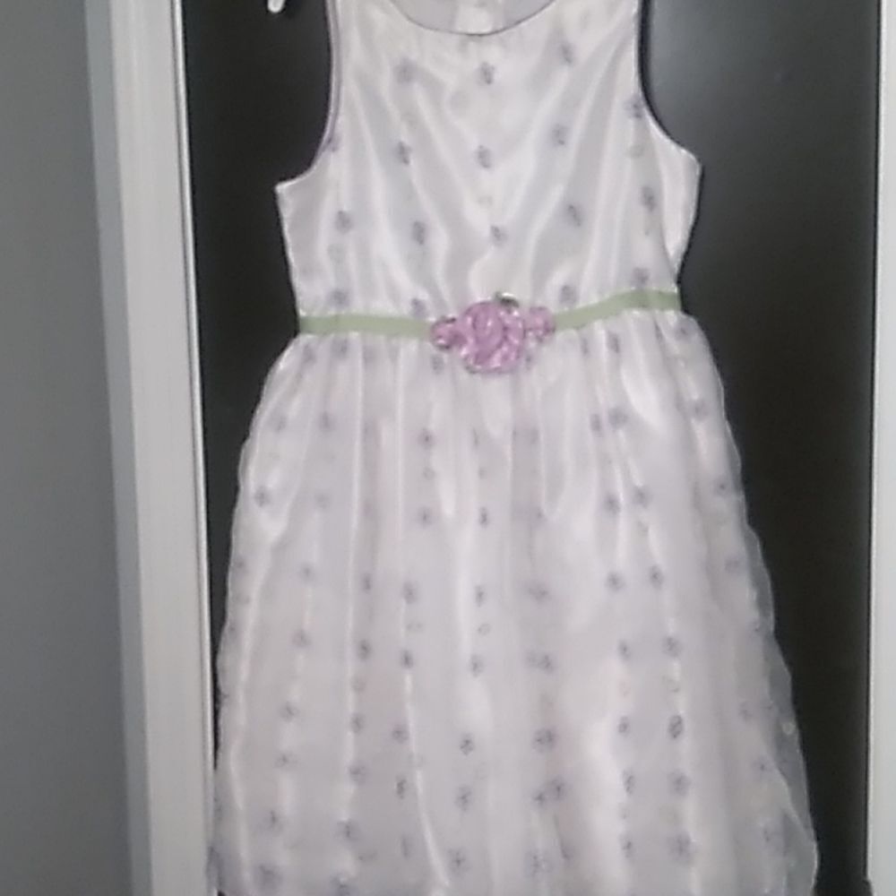 Sweet Heart Rose Dress.